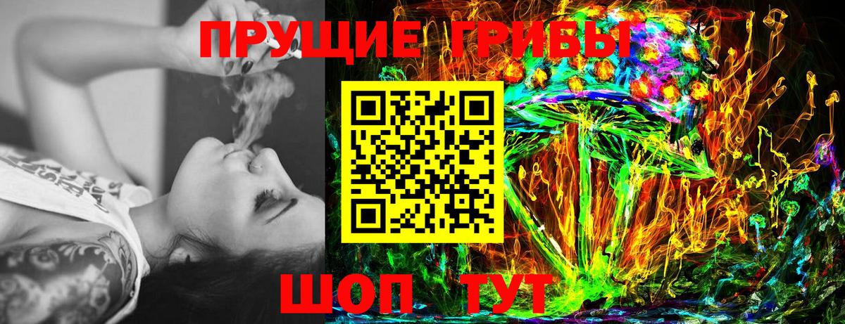 Галлюциногенные грибы Psilocybe  Вход с VPN  Галлюциногенные грибы прущие грибы  Ипатово 