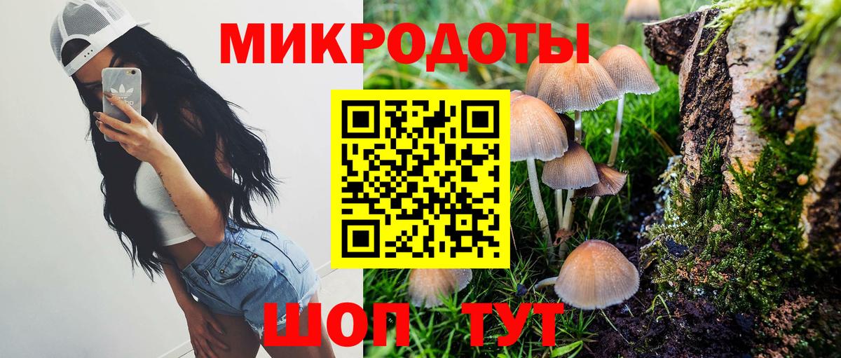Псилоцибиновые грибы ЛСД Ипатово